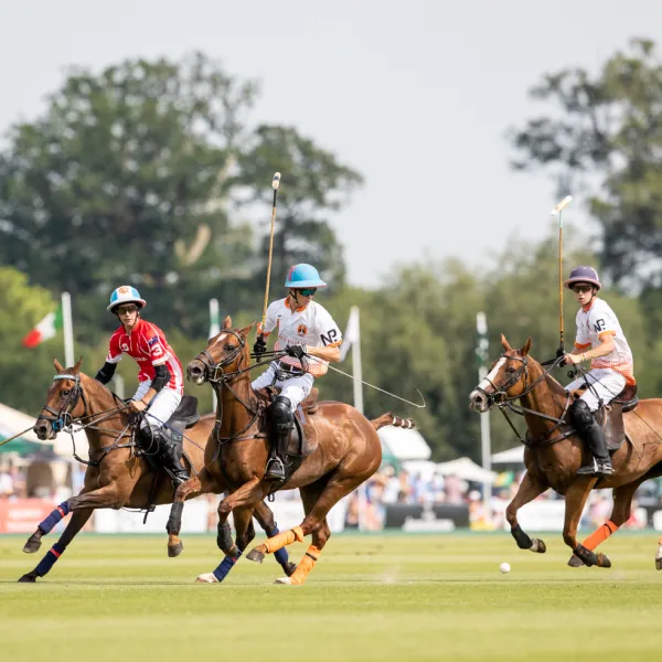 polo at cowdray park 