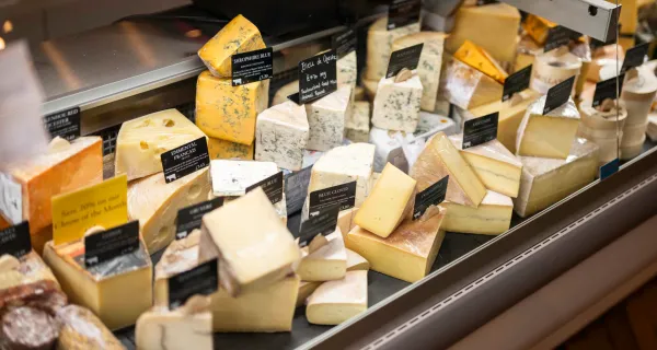 Little Cowdray based at Fernleigh in Chichester