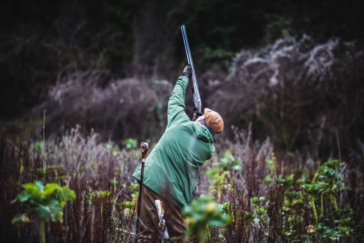 Cowdray clay and pigeon shoots